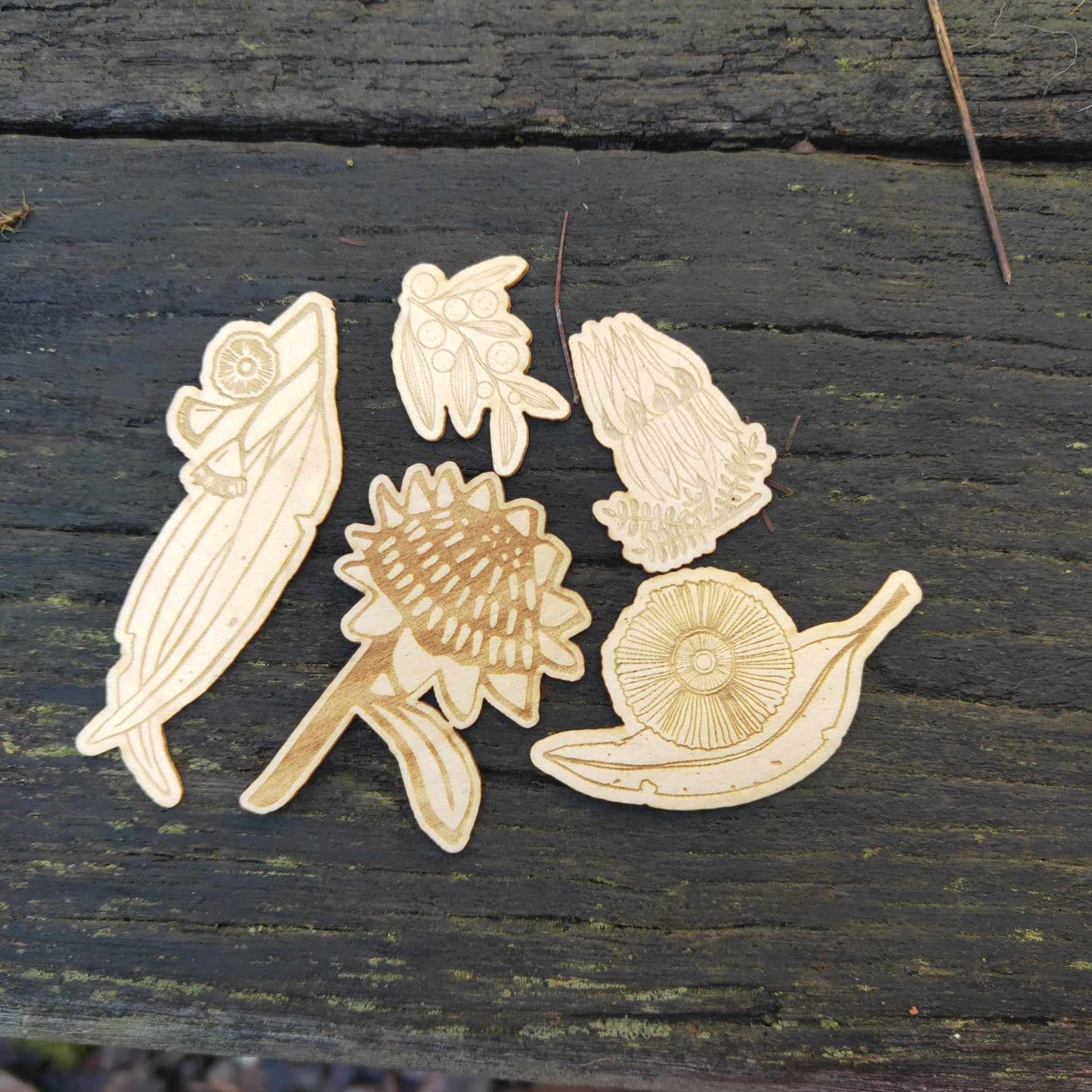 Native Australian Flora | Wooden Sticker 5 pack