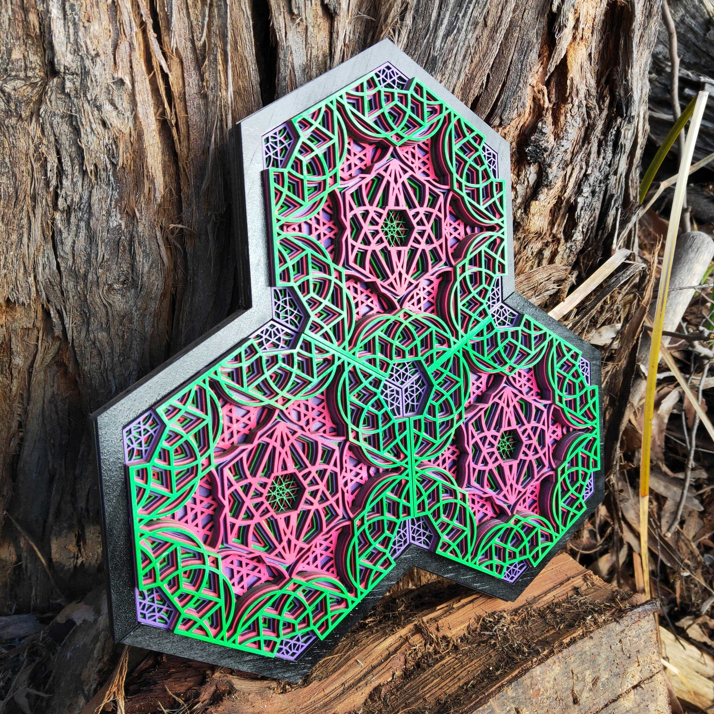 Hexacology