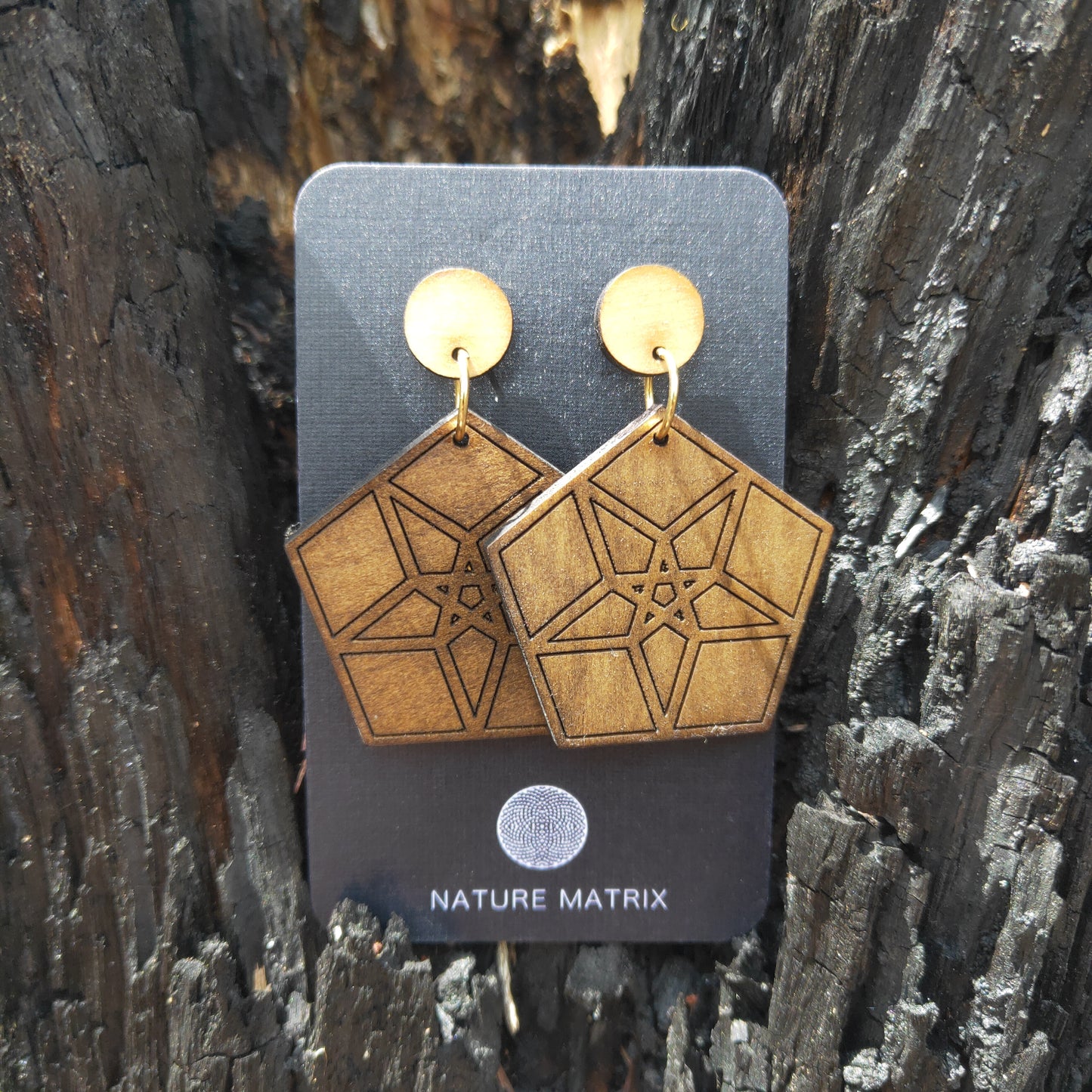 Geometric Earrings