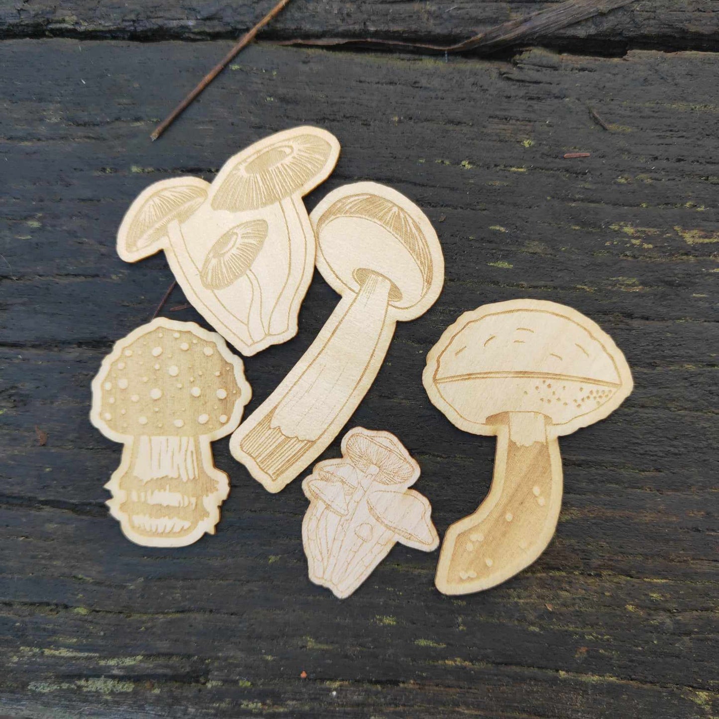 Mushrooms | Wooden Sticker 5 pack