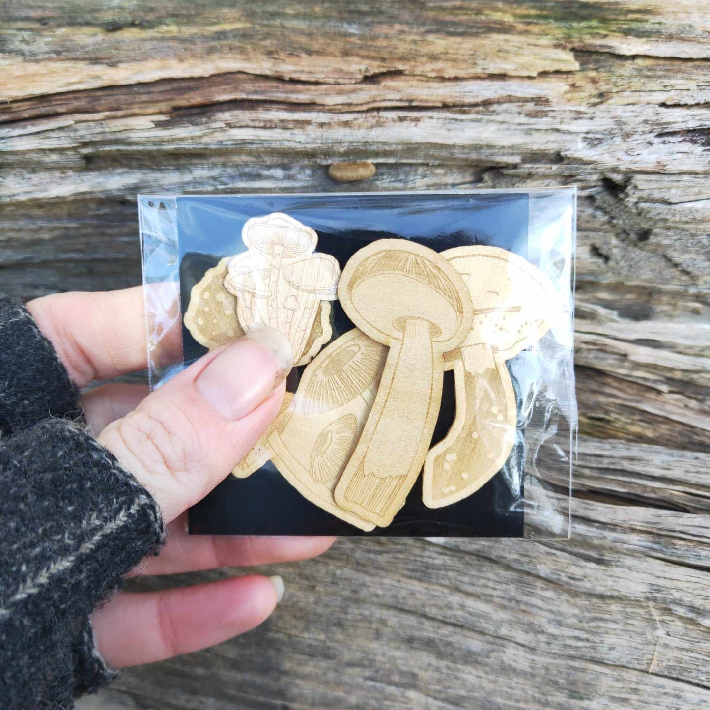 Mushrooms | Wooden Sticker 5 pack