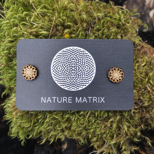 Geometric Studs